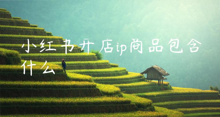 小红书开店ip商品包含什么 小红书开店ip商品包含什么
