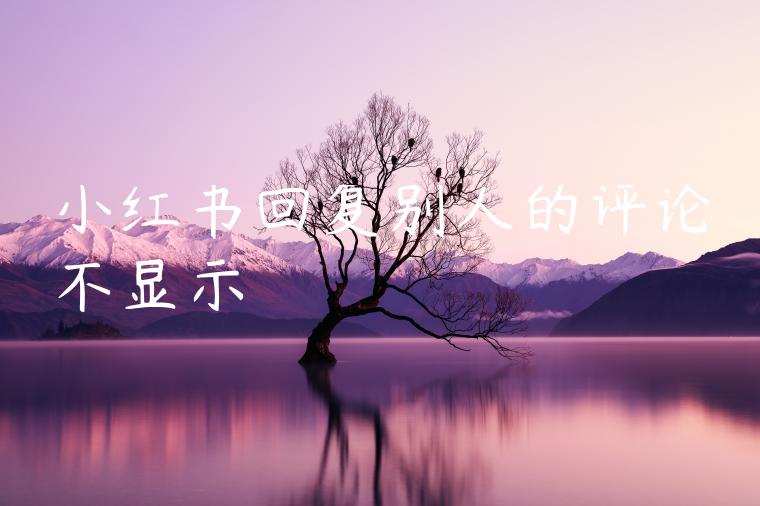 小红书回复别人的评论不显示 小红书回复别人的评论不显示