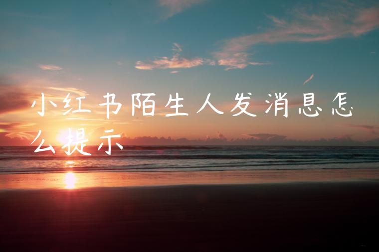 小红书陌生人发消息怎么提示 小红书陌生人发消息怎么提示