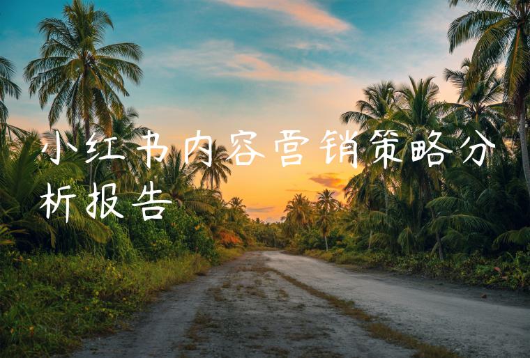 小红书内容营销策略分析报告 小红书内容营销策略分析报告