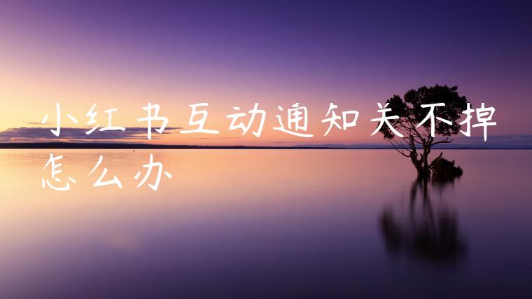 小红书互动通知关不掉怎么办 小红书互动通知关不掉怎么办