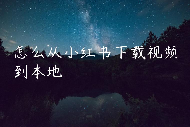 怎么从小红书下载视频到本地