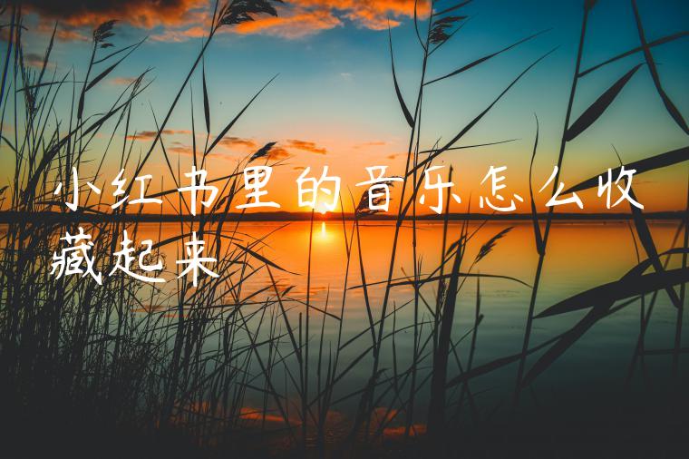 小红书里的音乐怎么收藏起来 小红书里的音乐怎么收藏起来