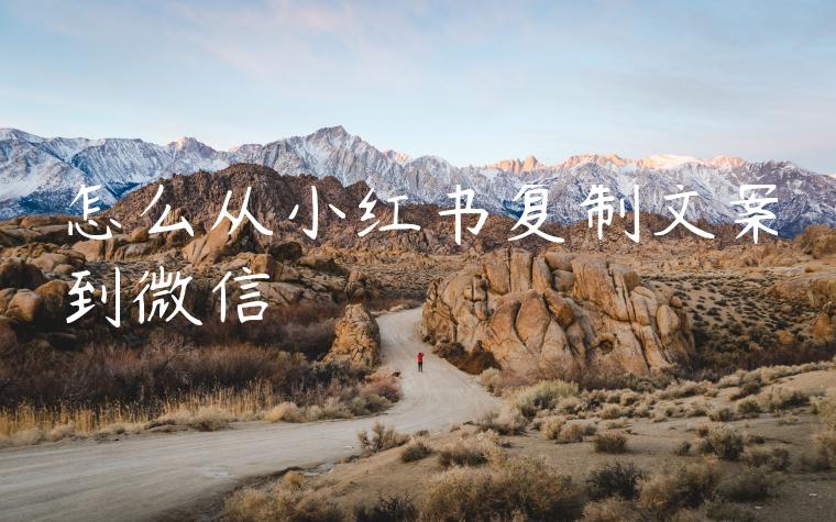 怎么从小红书复制文案到微信