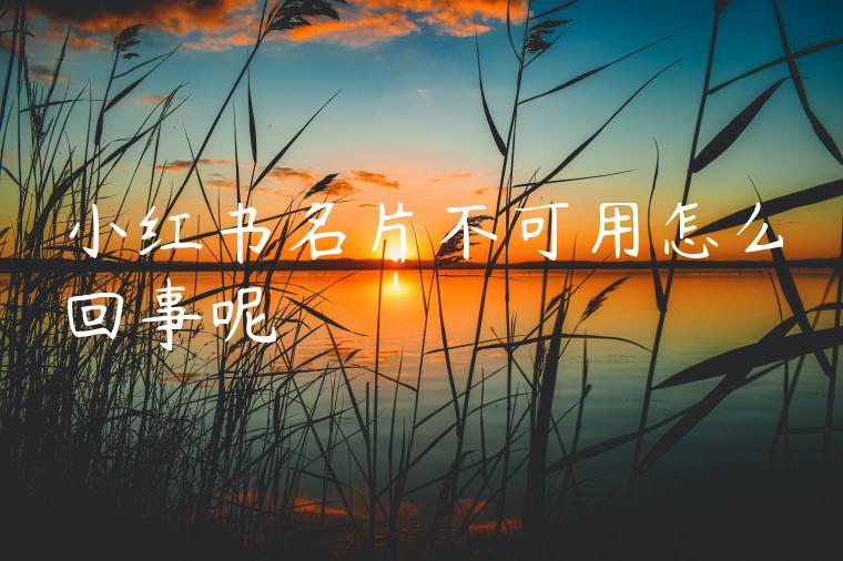 小红书名片不可用怎么回事呢 小红书名片不可用怎么回事呢