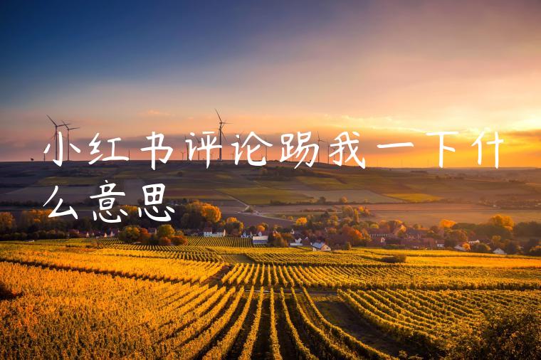 小红书评论踢我一下什么意思