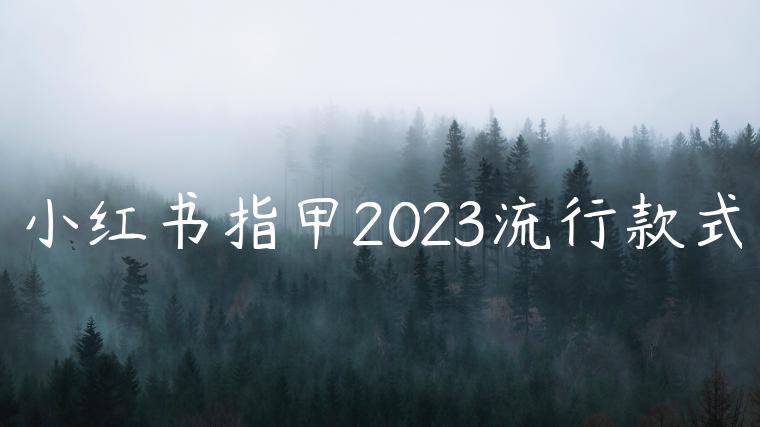 小红书指甲2023流行款式