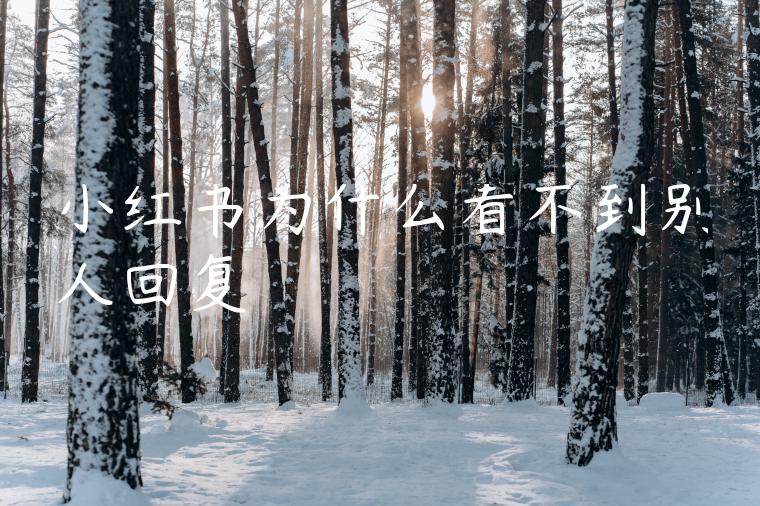 小红书为什么看不到别人回复 小红书为什么看不到别人回复