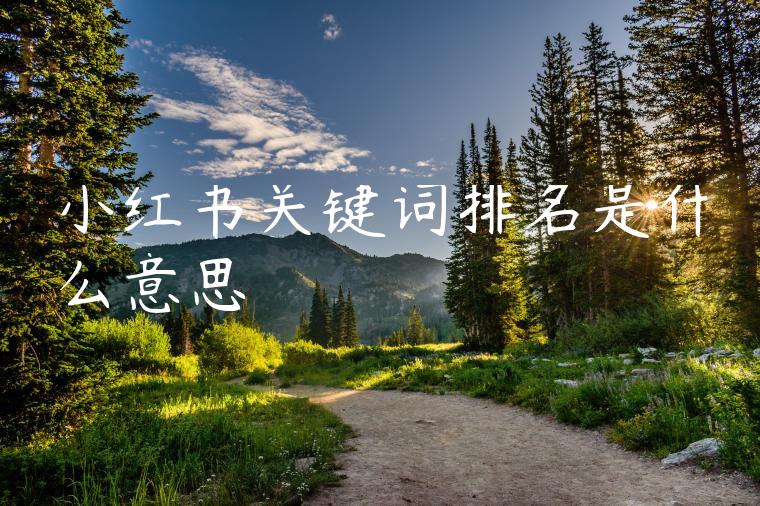 小红书关键词排名是什么意思