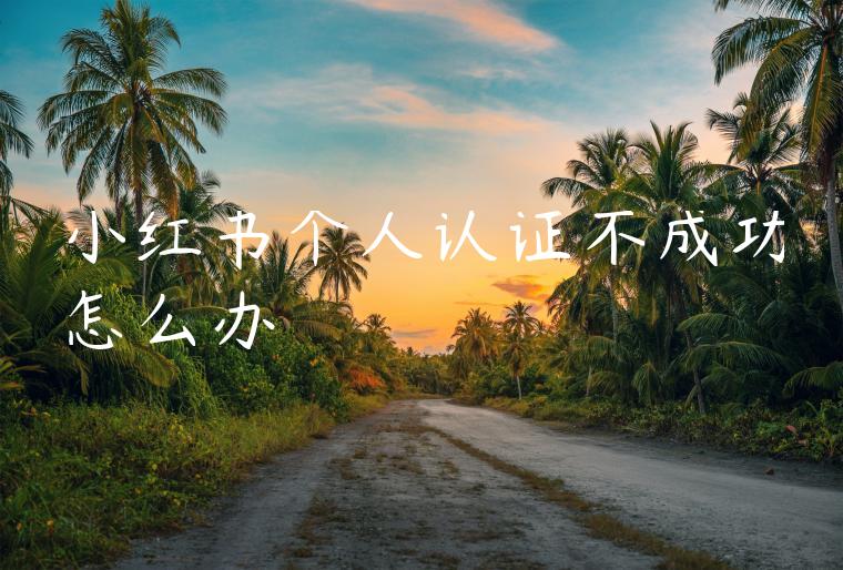 小红书个人认证不成功怎么办
