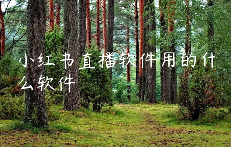 小红书直播软件用的什么软件