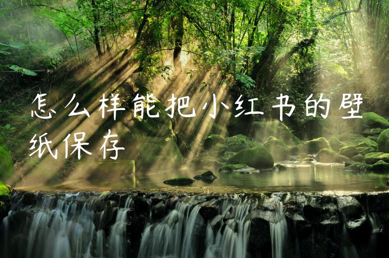 怎么样能把小红书的壁纸保存