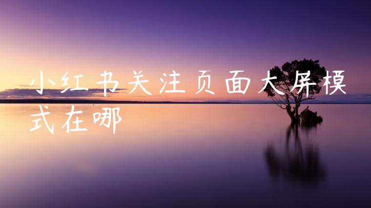 小红书关注页面大屏模式在哪 小红书关注页面大屏模式在哪