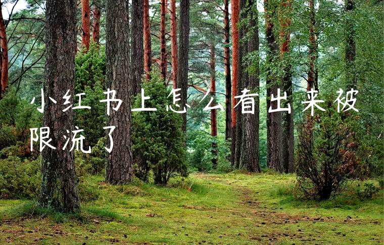 小红书上怎么看出来被限流了 小红书上怎么看出来被限流了