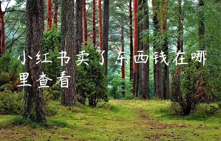 小红书卖了东西钱在哪里查看 小红书卖了东西钱在哪里查看