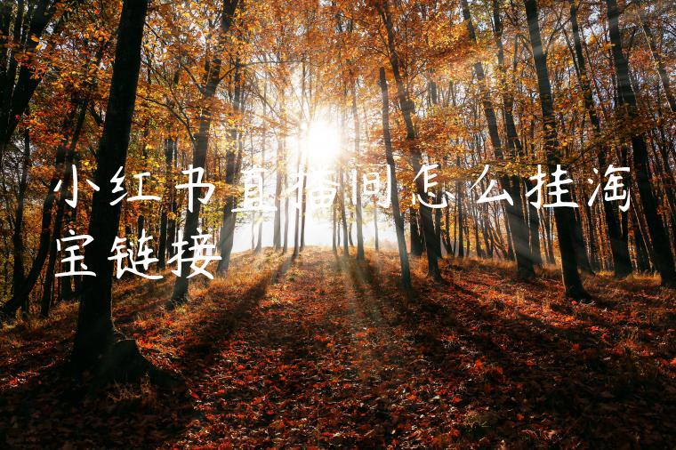 小红书直播间怎么挂淘宝链接