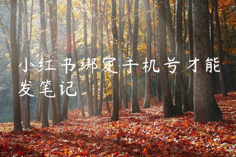 小红书绑定手机号才能发笔记