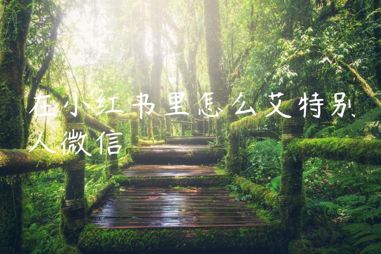 在小红书里怎么艾特别人微信