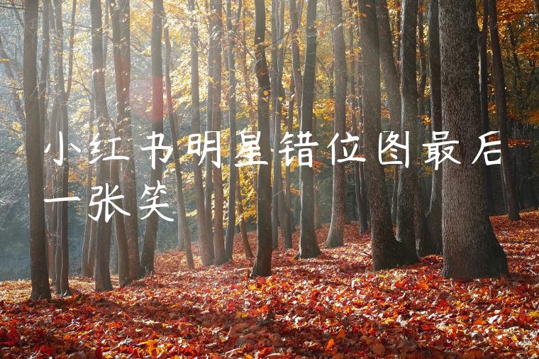 小红书明星错位图最后一张笑