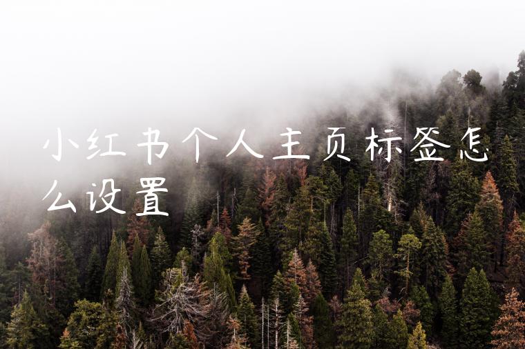 小红书个人主页标签怎么设置