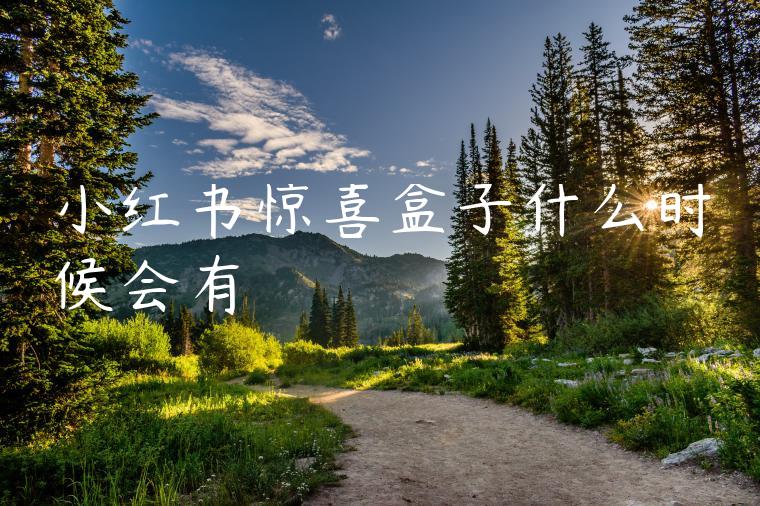 小红书惊喜盒子什么时候会有 小红书惊喜盒子什么时候会有