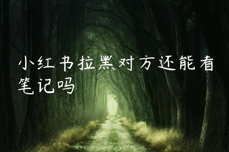 小红书拉黑对方还能看笔记吗
