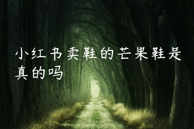 小红书卖鞋的芒果鞋是真的吗