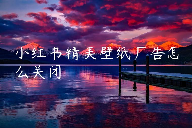 小红书精美壁纸广告怎么关闭 小红书精美壁纸广告怎么关闭