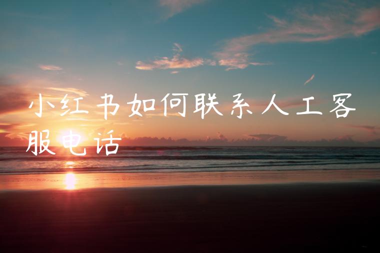 小红书如何联系人工客服电话