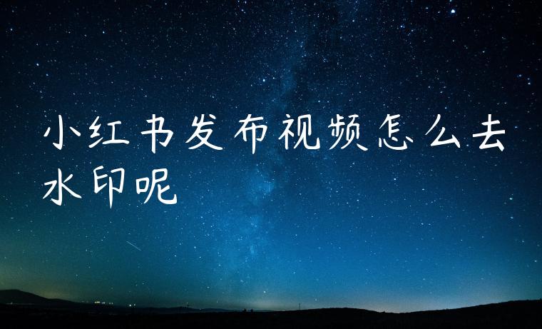 小红书发布视频怎么去水印呢