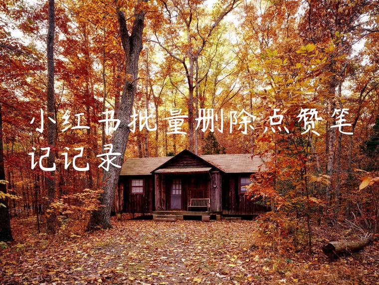 小红书批量删除点赞笔记记录 小红书批量删除点赞笔记记录