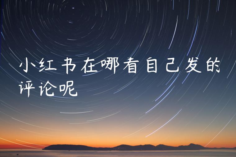 小红书在哪看自己发的评论呢