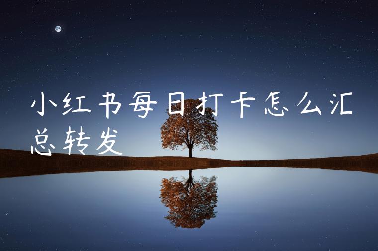 小红书每日打卡怎么汇总转发 小红书每日打卡怎么汇总转发