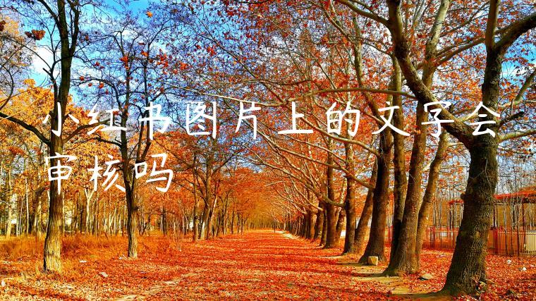 小红书图片上的文字会审核吗 小红书图片上的文字会审核吗