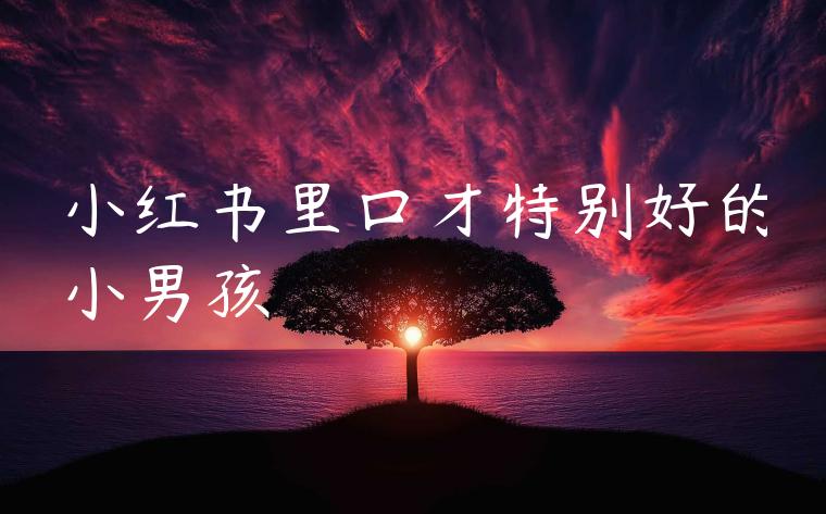 小红书里口才特别好的小男孩