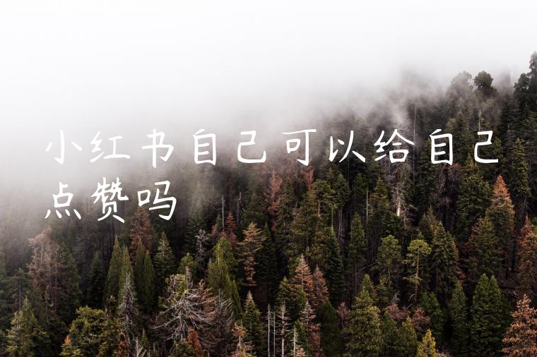 小红书自己可以给自己点赞吗