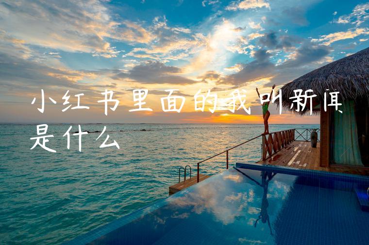 小红书里面的我叫新闻是什么