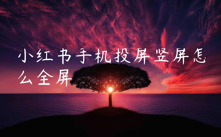 小红书手机投屏竖屏怎么全屏 小红书手机投屏竖屏怎么全屏