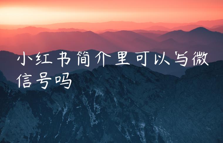 小红书简介里可以写微信号吗 小红书简介里可以写微信号吗