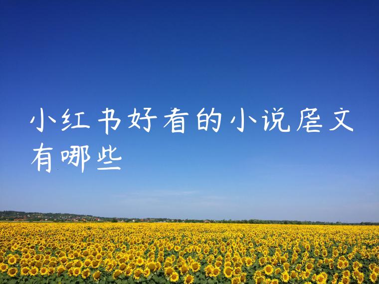 小红书好看的小说虐文有哪些 小红书好看的小说虐文有哪些