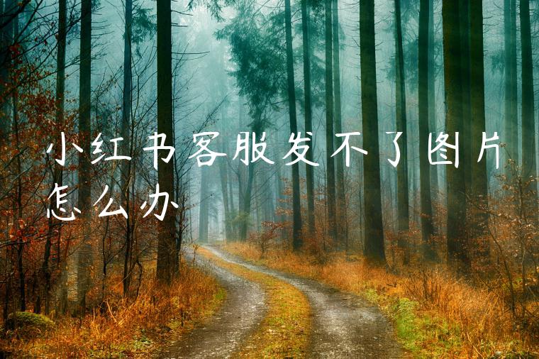 小红书客服发不了图片怎么办