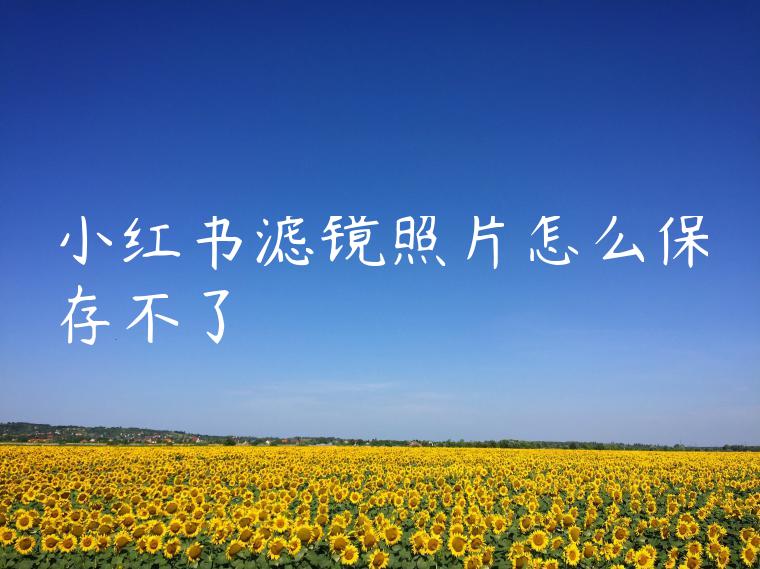 小红书滤镜照片怎么保存不了