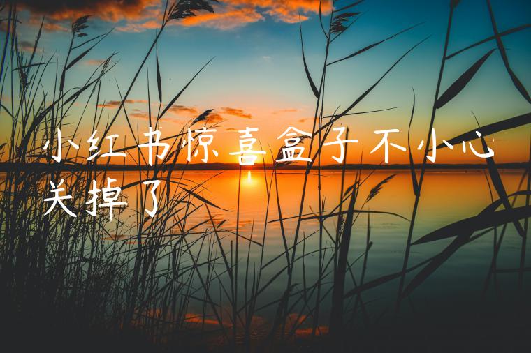 小红书惊喜盒子不小心关掉了