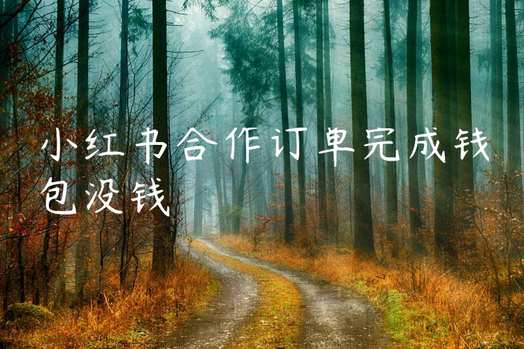 小红书合作订单完成钱包没钱 小红书合作订单完成钱包没钱