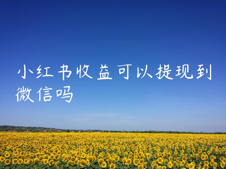 小红书收益可以提现到微信吗 小红书收益可以提现到微信吗