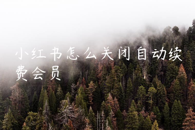 小红书怎么关闭自动续费会员 小红书怎么关闭自动续费会员