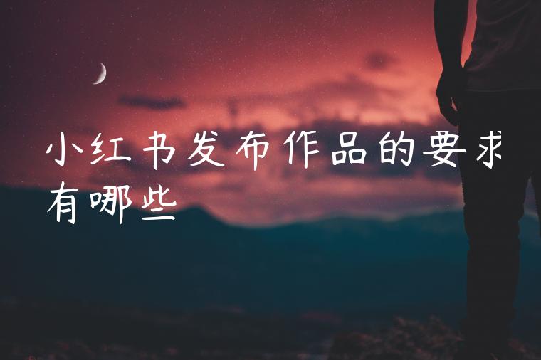小红书发布作品的要求有哪些 小红书发布作品的要求有哪些