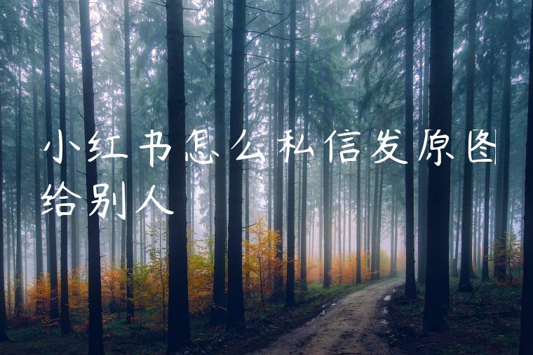 小红书怎么私信发原图给别人