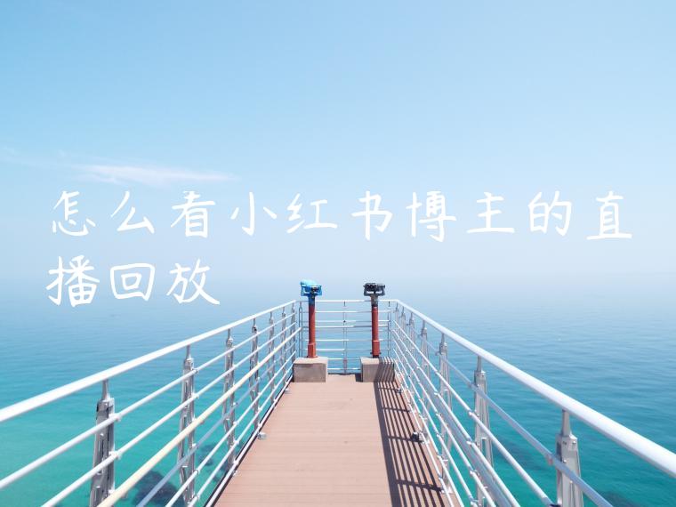 怎么看小红书博主的直播回放