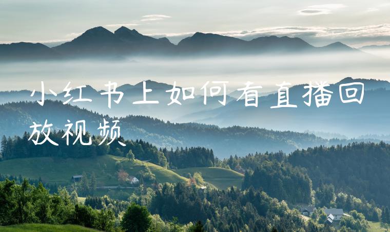 小红书上如何看直播回放视频
